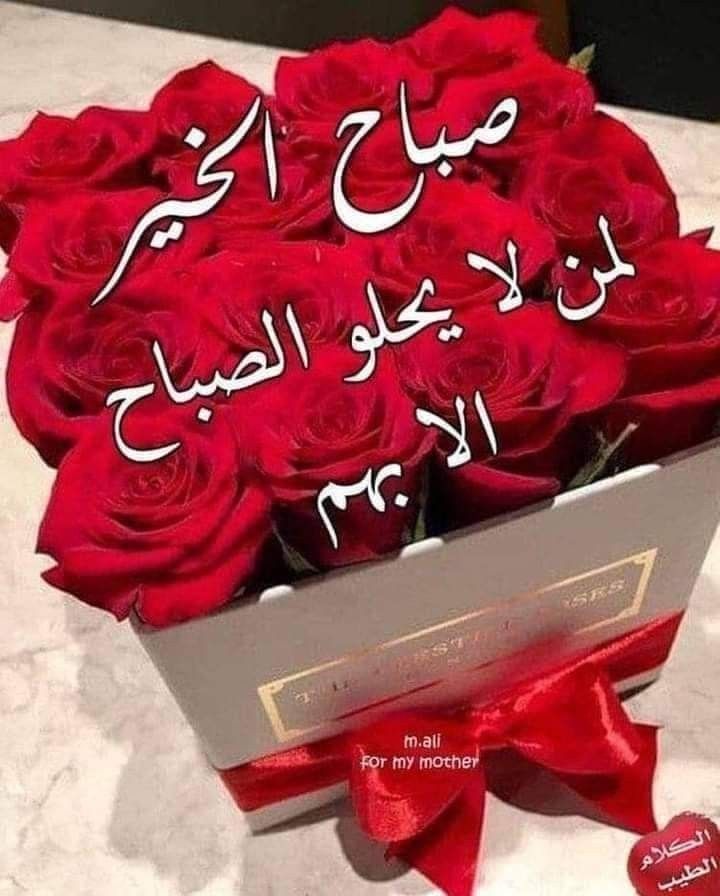 صورة 1